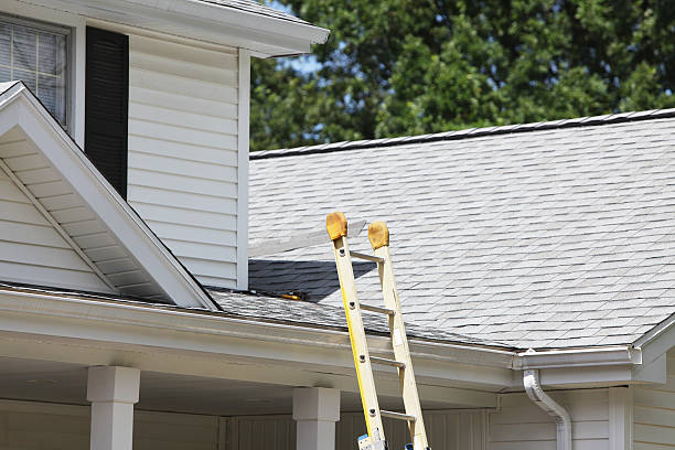 Professional Siding Installation in Scotia, NY